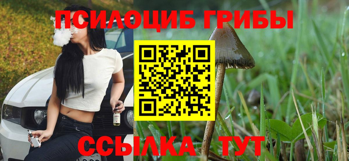 Псилоцибиновые грибы мухоморы Полысаево