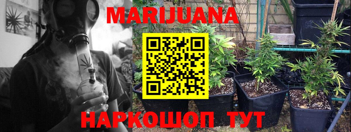 МАРИХУАНА план  Канабис тримм  Полысаево  Вход с VPN  МАРИХУАНА SATIVA & INDICA 